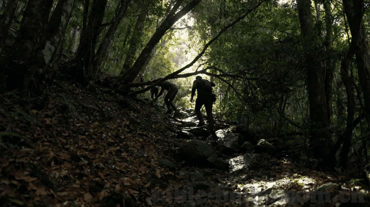 世界杯买球哪里注册-世界杯买球注册指南，安全、便捷的选择