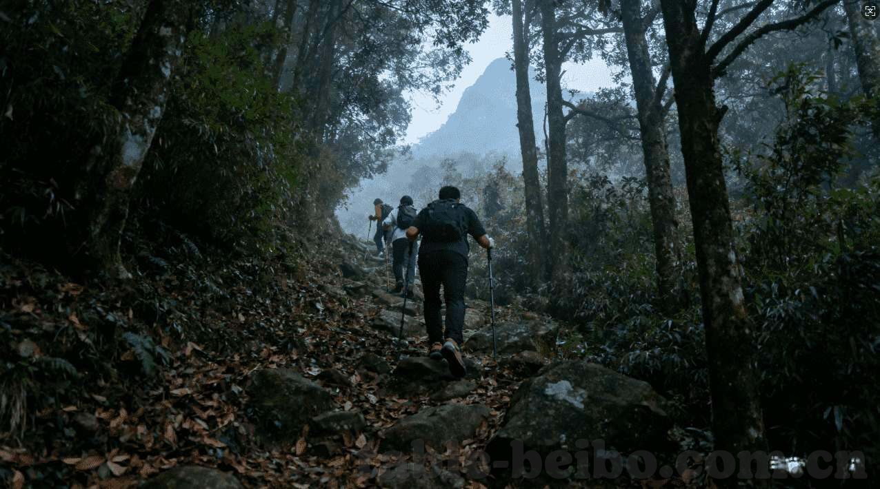 网上澳门金沙网站-澳门金沙，神奇的游戏世界